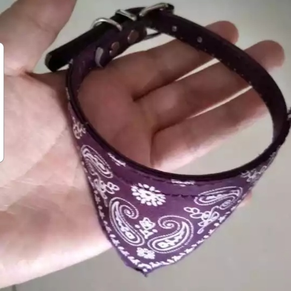 Small Bandana Collar - Picture 7 of 8